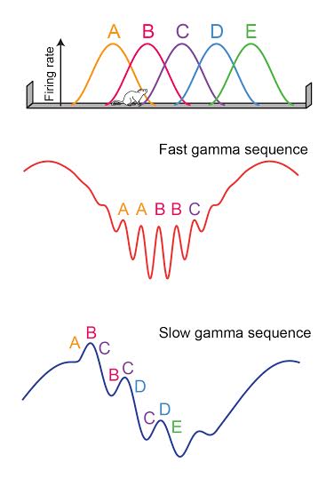 gamma sequences