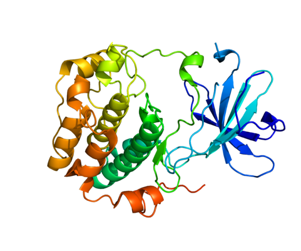 The structure of protein SGK1