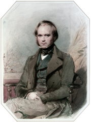 Portrait of Charles Darwin, George Richmond