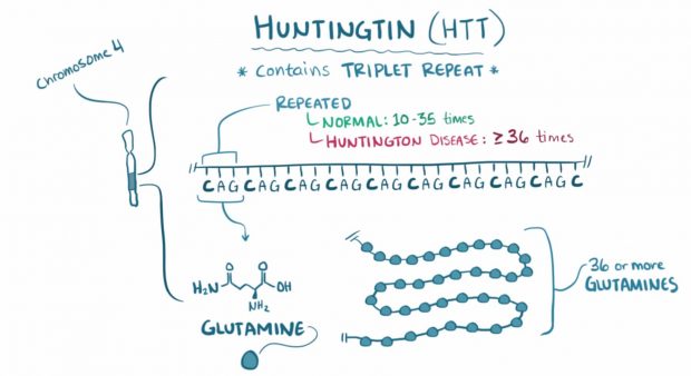 huntington-s-disease-serious-science