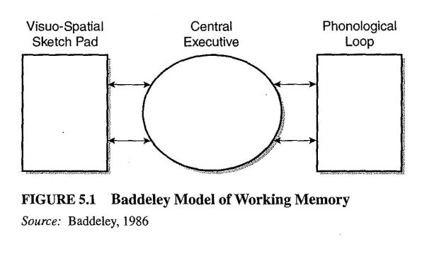Baddeley_working_memory